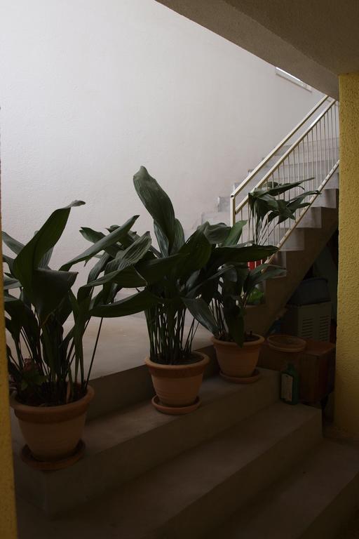 Apartments Viktorija スタリグラード エクステリア 写真